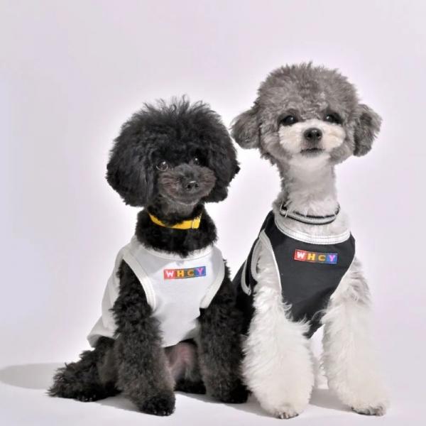 【WHCY　ウォームハートカンパニー】ＷＡＳＨＩ天竺プルオーバ－ シラユリ／スミ