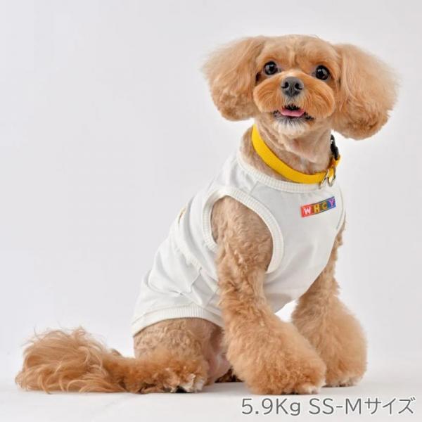 【WHCY　ウォームハートカンパニー】ＷＡＳＨＩ天竺プルオーバ－ シラユリ