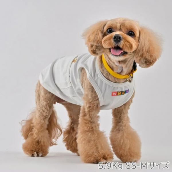 【WHCY　ウォームハートカンパニー】ＷＡＳＨＩ天竺プルオーバ－ シラユリ