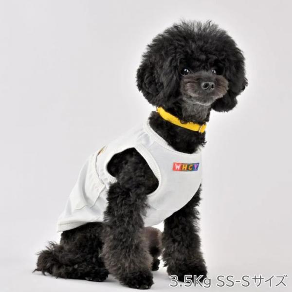 【WHCY　ウォームハートカンパニー】ＷＡＳＨＩ天竺プルオーバ－ シラユリ