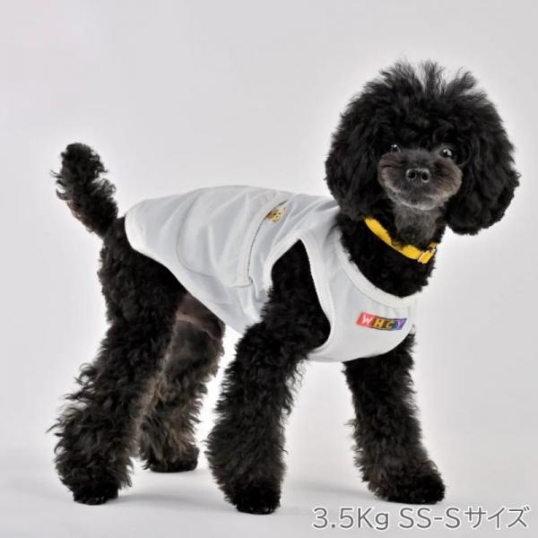 【WHCY　ウォームハートカンパニー】ＷＡＳＨＩ天竺プルオーバ－ シラユリ