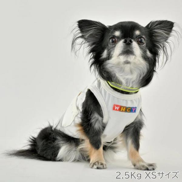 【WHCY　ウォームハートカンパニー】ＷＡＳＨＩ天竺プルオーバ－ シラユリ