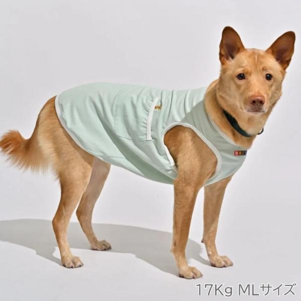 【WHCY　ウォームハートカンパニー】ＷＡＳＨＩ天竺プルオーバ－ ワカバ