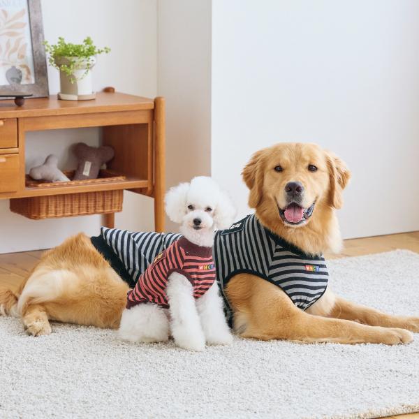 【WHCY（ウォームハートカンパニー）】リッチウォームボーダーＴシャツ ラズベリーボーダー(バスト37のサイズを着用 モデルサイズ：バスト33cm)、モノボーダー(バスト80のサイズを着用 モデルサイズ：バスト73cm)