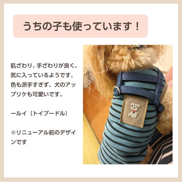 【WHCY（ウォームハートカンパニー）】リッチウォームボーダーＴシャツ 