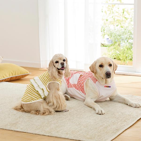 【WHCY（ウォームハートカンパニー）】プライムクールボーダーＴシャツ 右・ネーブルオレンジ・Lサイズを着用／モデルサイズ：バスト75cm　※左は別売の「クールフリルTシャツ」