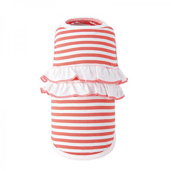 【WHCY（ウォームハートカンパニー）】プライムクールフリルＴシャツ ネーブルオレンジ