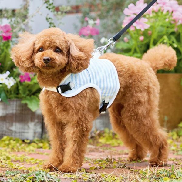 【WHCY　ウォームハートカンパニー】バックストロングクールハーネス ブルーハワイ