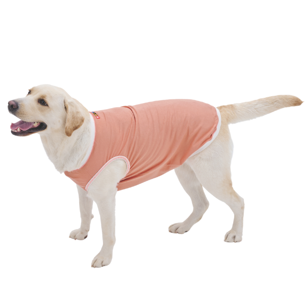 【WHCY（ウォームハートカンパニー）】ワイルドオーガニックＴシャツ アプリコット （バスト78cmのサイズを着用 /モデルサイズ：バスト73cm）