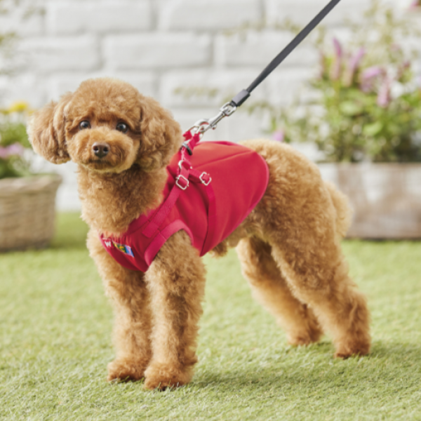 【WHCY（ウォームハートカンパニー）】ロングハーネスベスト キャロット　※リードは別売です