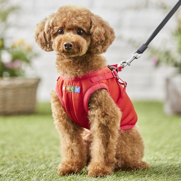 【WHCY（ウォームハートカンパニー）】ロングハーネスベスト キャロット　※リードは別売です