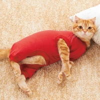 ヒートホット　キャットパジャマ (猫 ルームウェア 洋服 服 冬服)