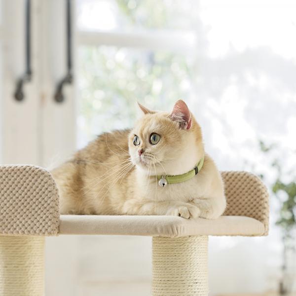 Ｓｉｐｐｏｌｅ　ふわふわのびーる猫首輪 わかば