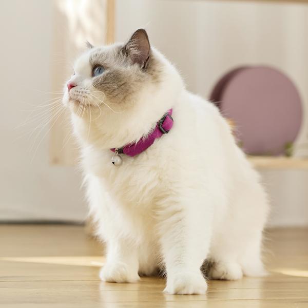 Ｓｉｐｐｏｌｅ　ふわふわのびーる猫首輪 べにいろ