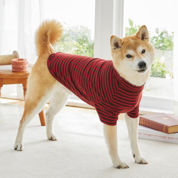 【犬と生活】アームウォームTシャツ レッド：バスト５6のサイズを着用（モデルサイズ：バスト56cm）
