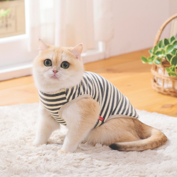 ウォームボーダーキャット ホワイト