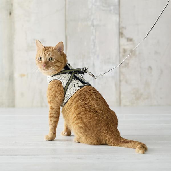 ハンドルベスト　ねこいっぱい柄 ホワイト　※リードは含まれません