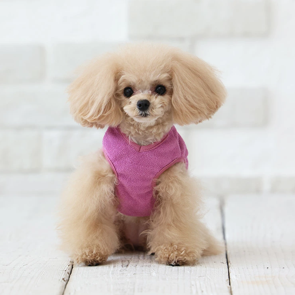 【犬と生活】リラックスパイルタンク パープル