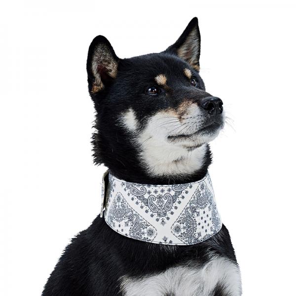 【犬と生活】クールネックバンド　ペイズリー ホワイト