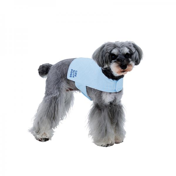 【犬と生活】クールベストギンガム ブルー／3号サイズを着用・モデルサイズ：バスト48cm