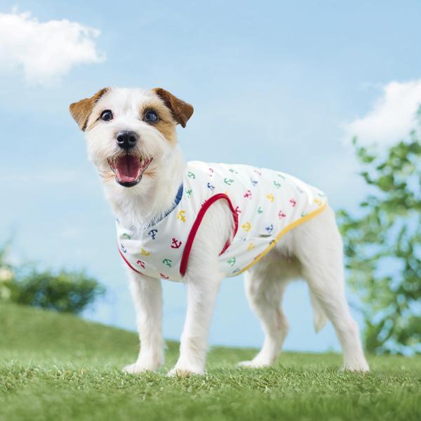 【犬と生活】濡らして振って冷却タンク ホワイトいかり/4号を着用/モデルサイズ：バスト43㎝
