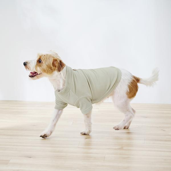 楽暖のびＴシャツ グレー/バスト43のサイズを着用。モデルサイズ：バスト４３cm
