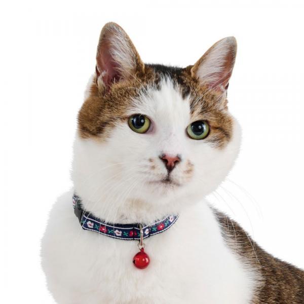 キャットカラー　フラワー ネイビー
