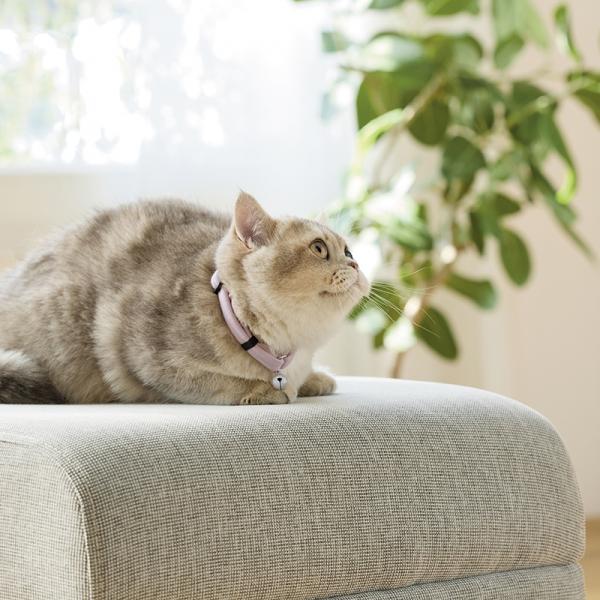 【募金付き】Ｓｉｐｐｏｌｅ　ふわふわのびーる猫首輪 さくら《春限定カラーです》