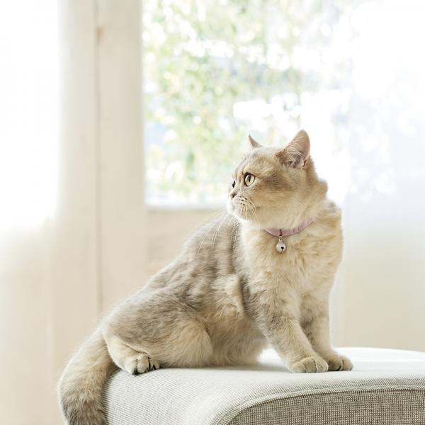 【募金付き】Ｓｉｐｐｏｌｅ　ふわふわのびーる猫首輪 さくら《春限定カラーです》
