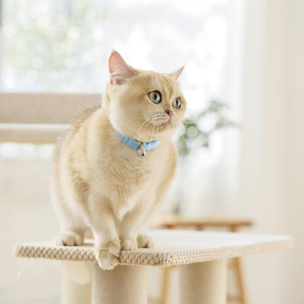 【募金付き】Ｓｉｐｐｏｌｅ　ふわふわのびーる猫首輪 そらいろ