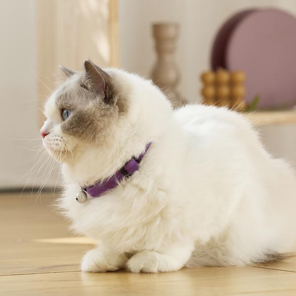 【募金付き】Ｓｉｐｐｏｌｅ　ふわふわのびーる猫首輪 かきつばた