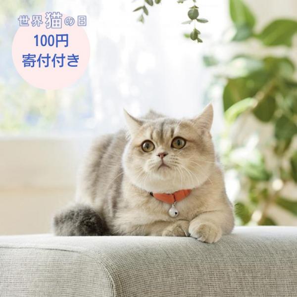 【募金付き】Ｓｉｐｐｏｌｅ　ふわふわのびーる猫首輪 