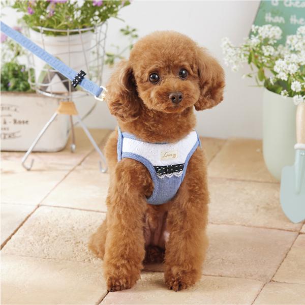 LAMZY（ラムジー）　ソフトフェザーハーネス　レース ブルー