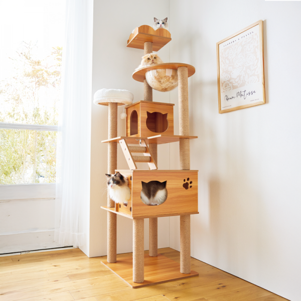 木製アスレチックタワー　ハイタイプ（高さ185cm　据え置き型　ハウス　多頭飼い） 