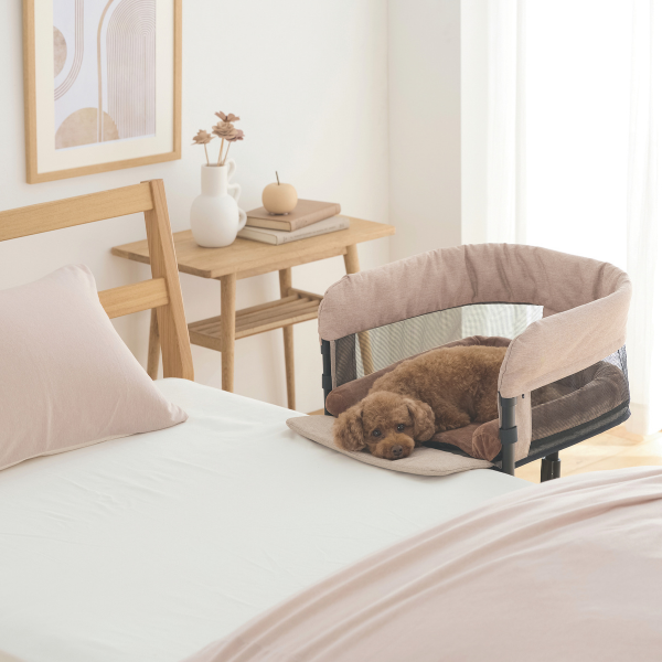 ＧＵＵＵ　ＳＬＥＥＰ S・ブラウン