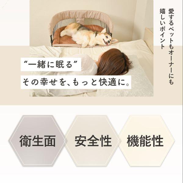 ＧＵＵＵ　ＳＬＥＥＰ 