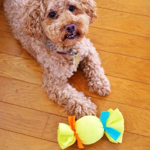 犬用おもちゃ 犬用品 ペット用品の通販サイト ペピイ Peppy