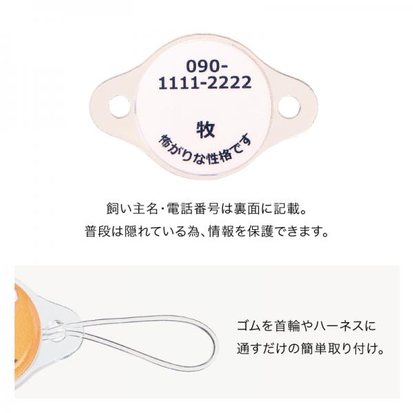 犬種が選べるアクリル迷子札 