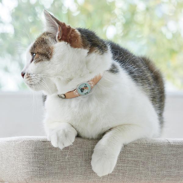 ★猫種が選べるアクリル迷子札 丸・ミケ