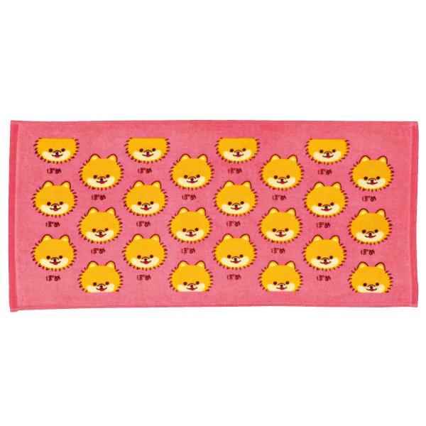 わんわんかおタオル ポメラニアン