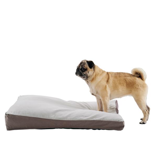 もっちりローカウチ　秋冬用 ブルーグレー