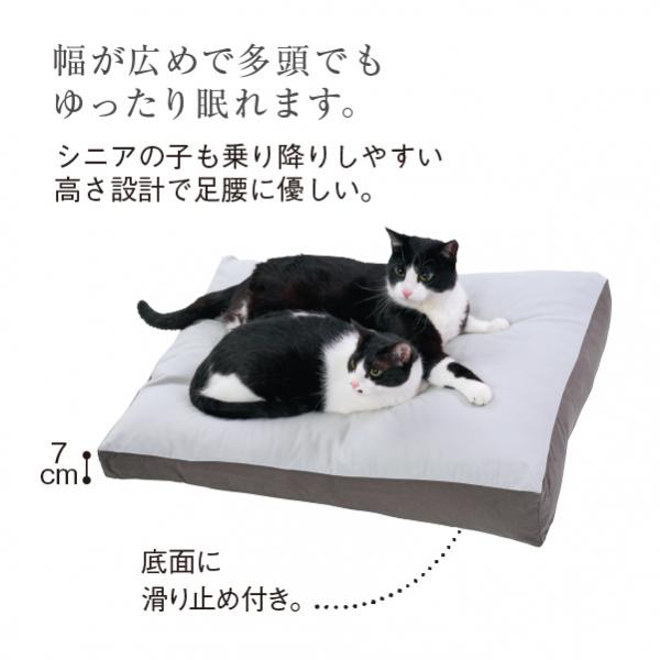 もっちりローカウチ　秋冬用 