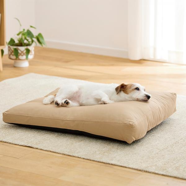 もっちりローカウチ　春夏用 ベージュ・モデル体重5.5kg