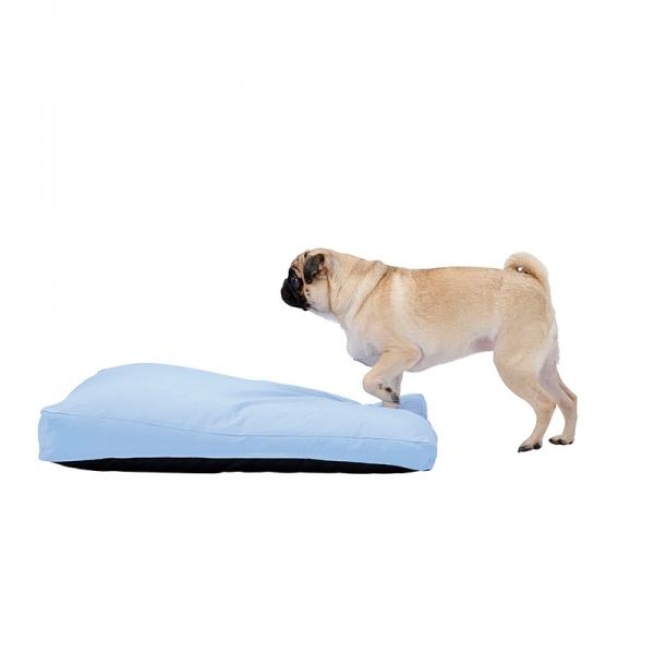 もっちりローカウチ　春夏用 サックス／シニアや短足種の子でも乗り降りしやすい高さ。