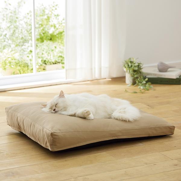 もっちりローカウチ　春夏用 ベージュ・モデル体重4.1㎏