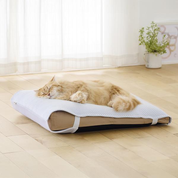 もっちりローカウチ　春夏用 本体ベージュ＋夏用パッド・モデル体重4.1kg