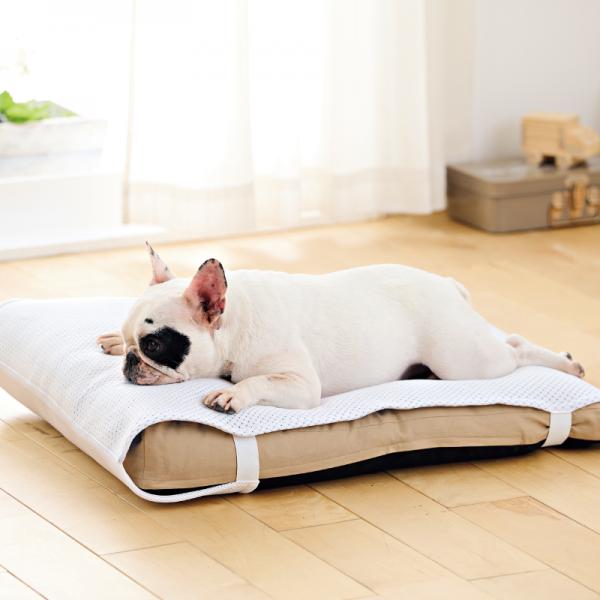 もっちりローカウチ　春夏用 本体ベージュ＋夏用パッド・モデル体重10kg