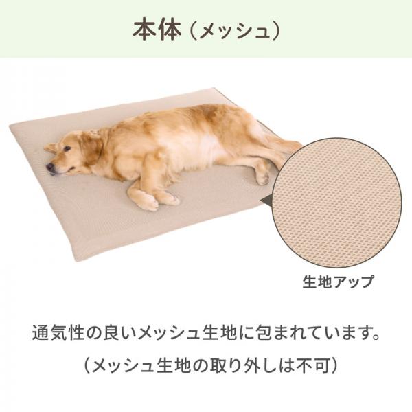 眠る時間が増えてきた子の高反発マット 