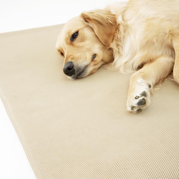 眠る時間が増えてきた子の高反発マット 本体は、通気性のよいメッシュ生地に包まれています。