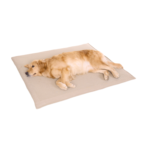 眠る時間が増えてきた子の高反発マット Lサイズ（本体）